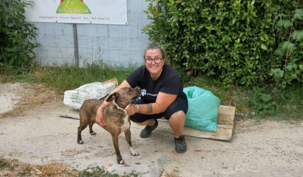 20230729_Code nel cuore|20230729_Comitato vecchianese|20230729_WWF