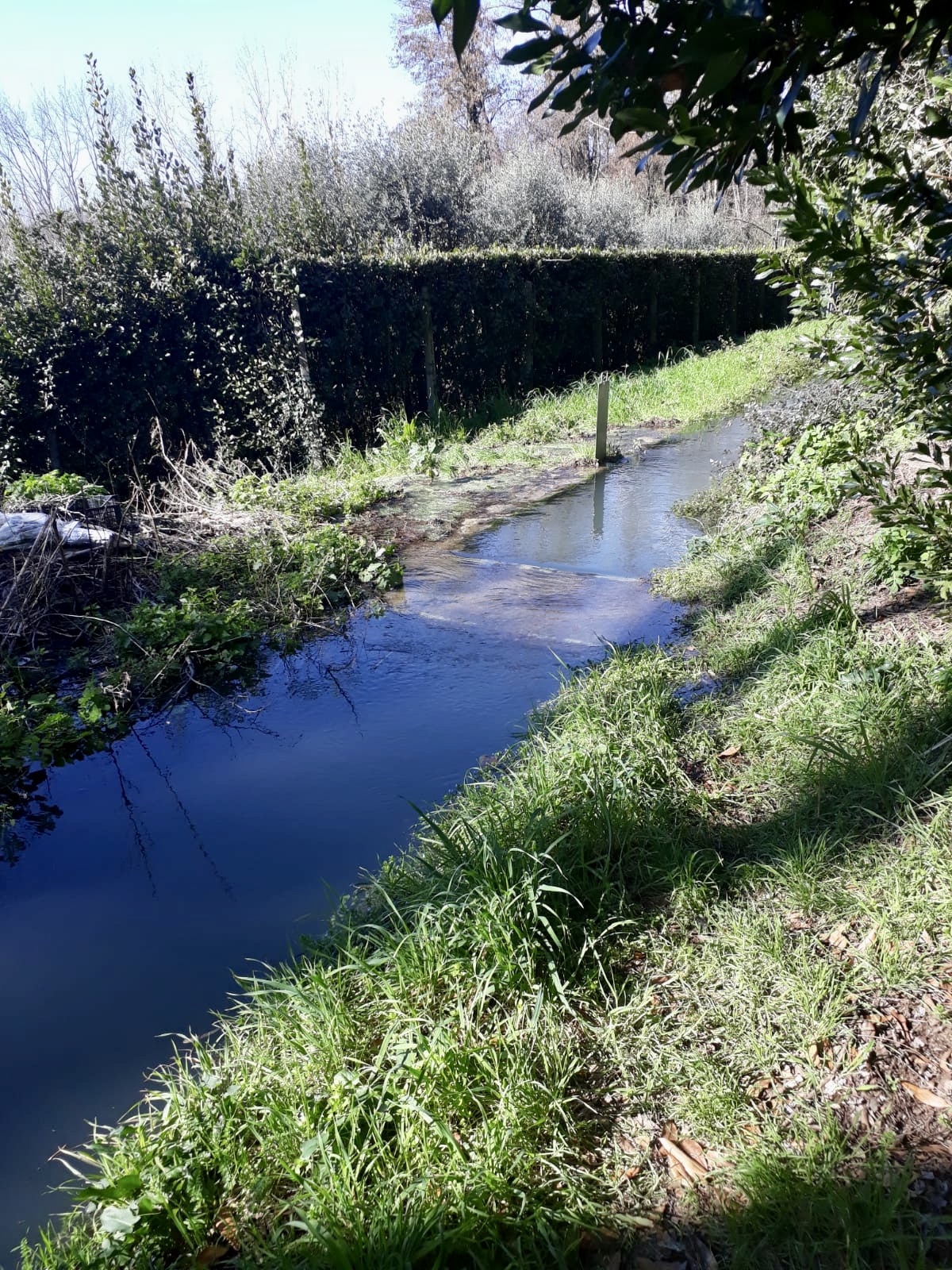 337570B0-9F07-495D-AC4D-DC7CF26A82D2