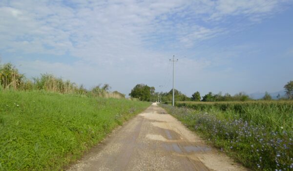 area-canale-barra_barretta