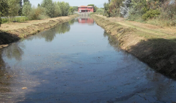 COLLETTORE-SX--2|MAGNANO-1|CARRAIA-2