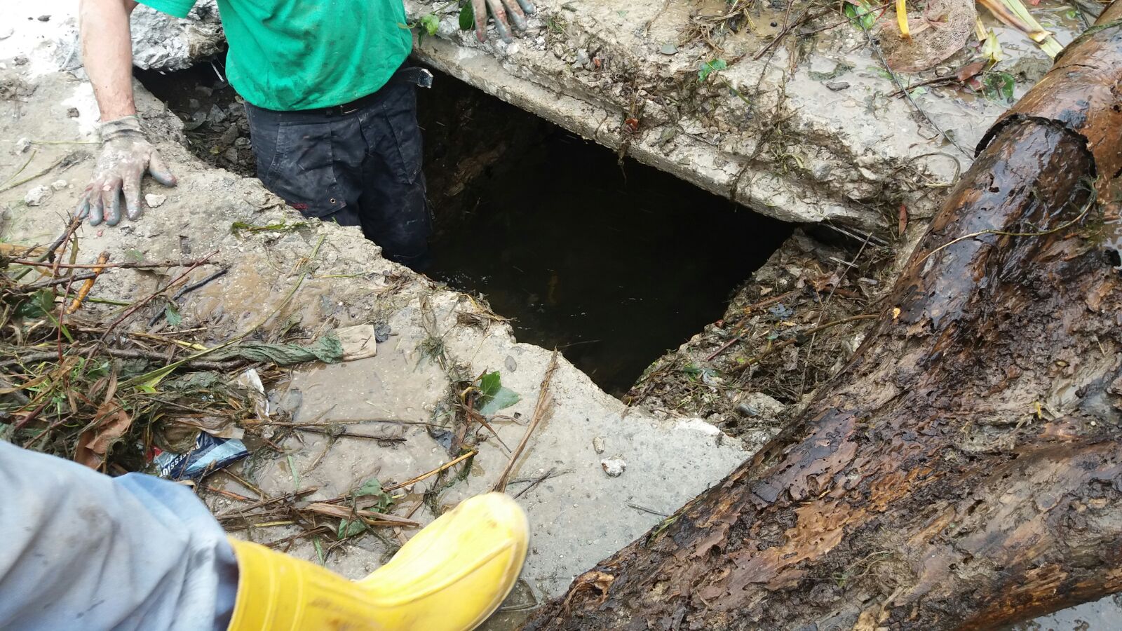 Canale Nuovo 1 17.04.2018|Canale Nuovo 2 17.04.2018