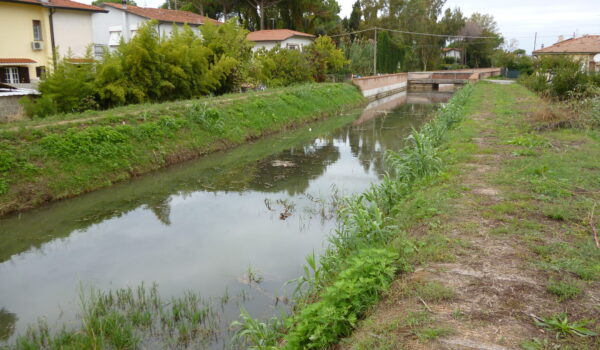 Canale Trebbiano 12.07.2019
