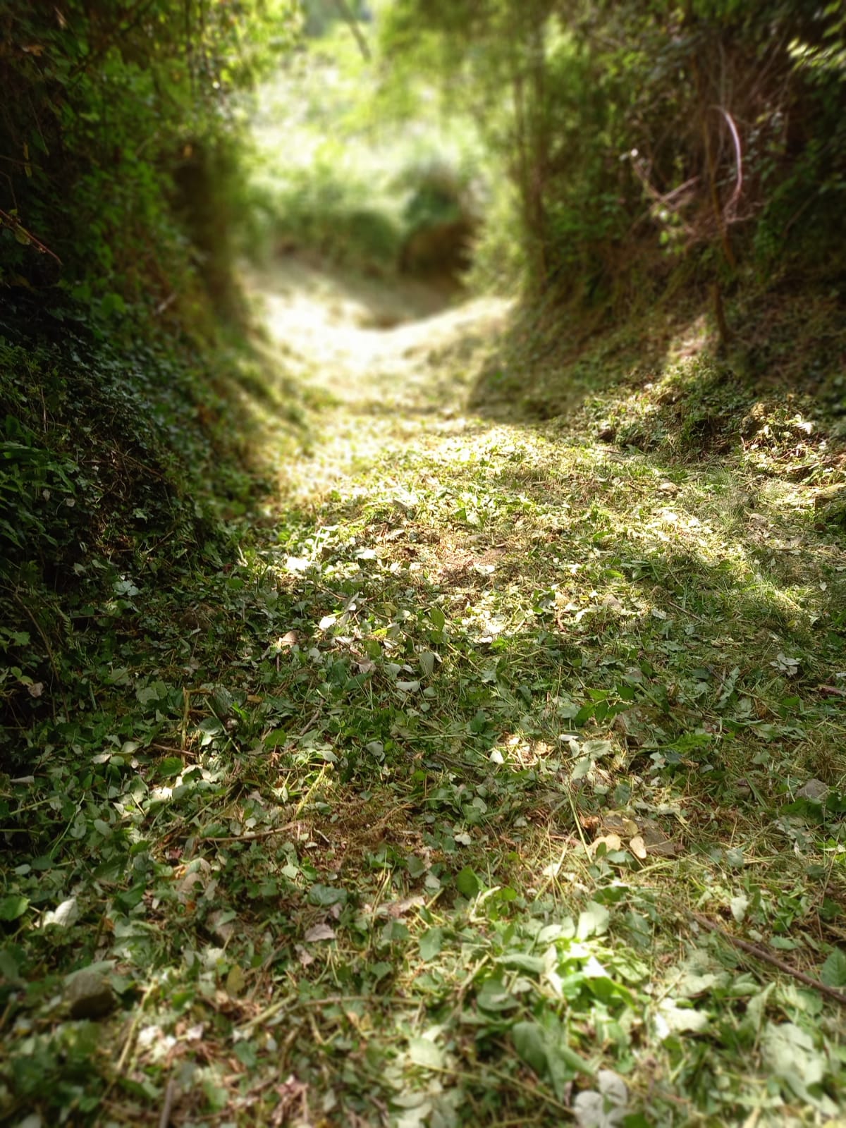 Candia_manutenzione_2022_1|Canalmagro_manutenzione_2022_2|Canalmagro_manutenzione_2022_4|Candia_manutenzione_2022_2|Candia_manutenzione_2022_3