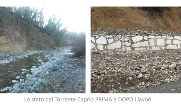 Caprio-Prima-e-dopoweb