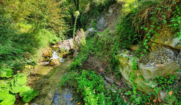 Fosso Borello 2024 progetto aree interne (1)|Fosso Borello 2024 progetto aree interne (2)