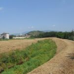 Manutenzione Piana di Lucca