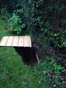 Pesato Saracino, Cascine di Buti