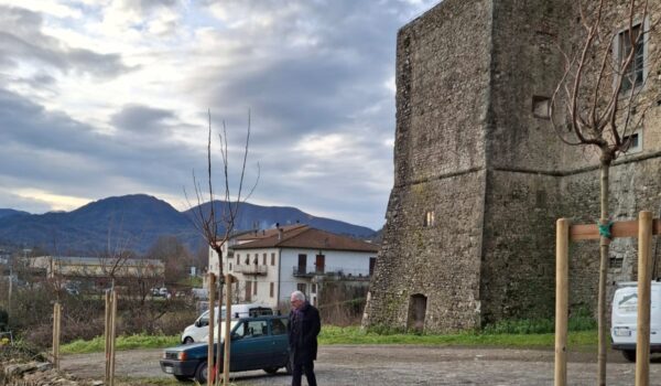 Piante_licciana_castello|PIante_licciana_castello2