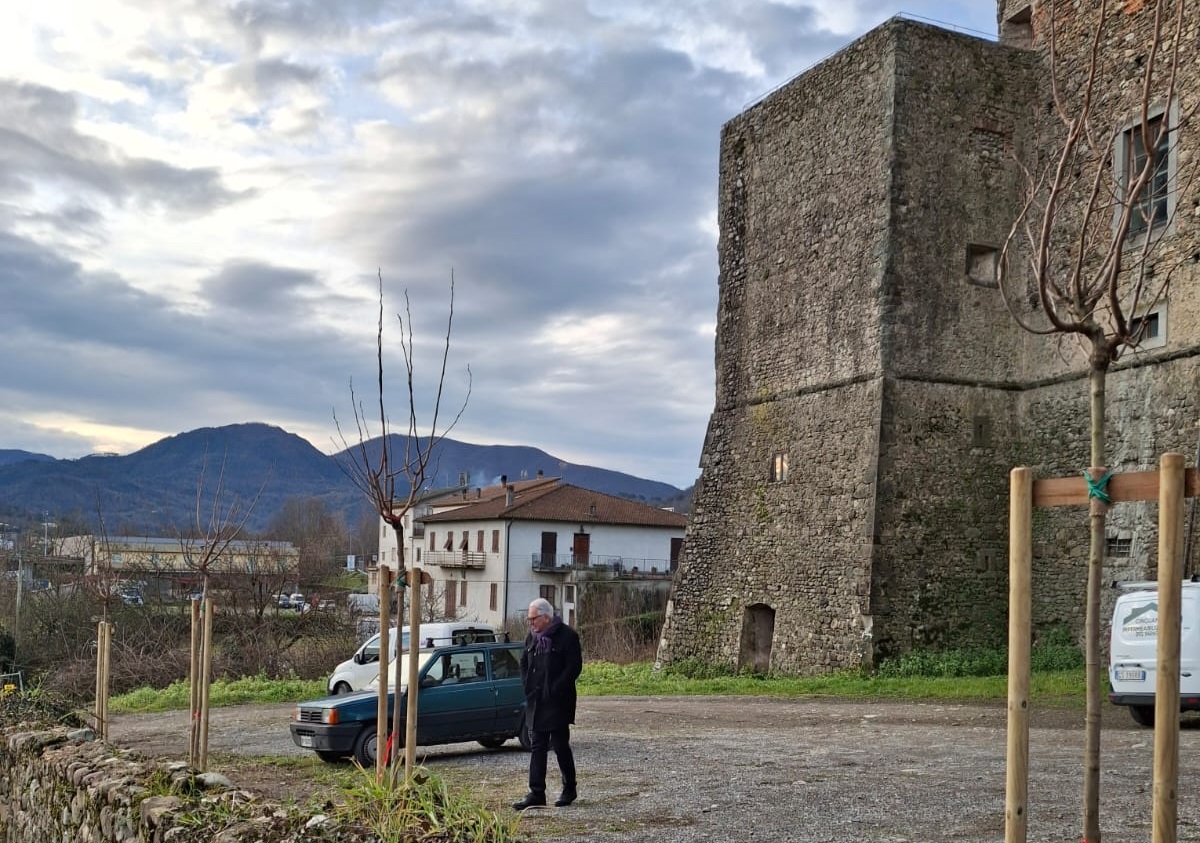 Piante_licciana_castello|PIante_licciana_castello2