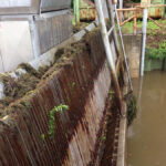 Le griglie degli impianti idrovori che bloccano tutto il materiale evitando che finisca in mare