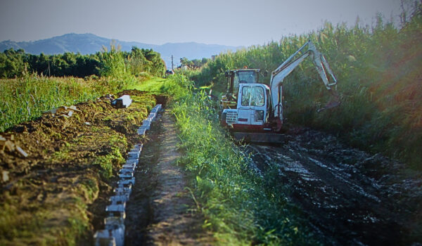 lavori_argini_massaciuccoli_2024|lavori_argini_massaciuccoli_2024 (2)