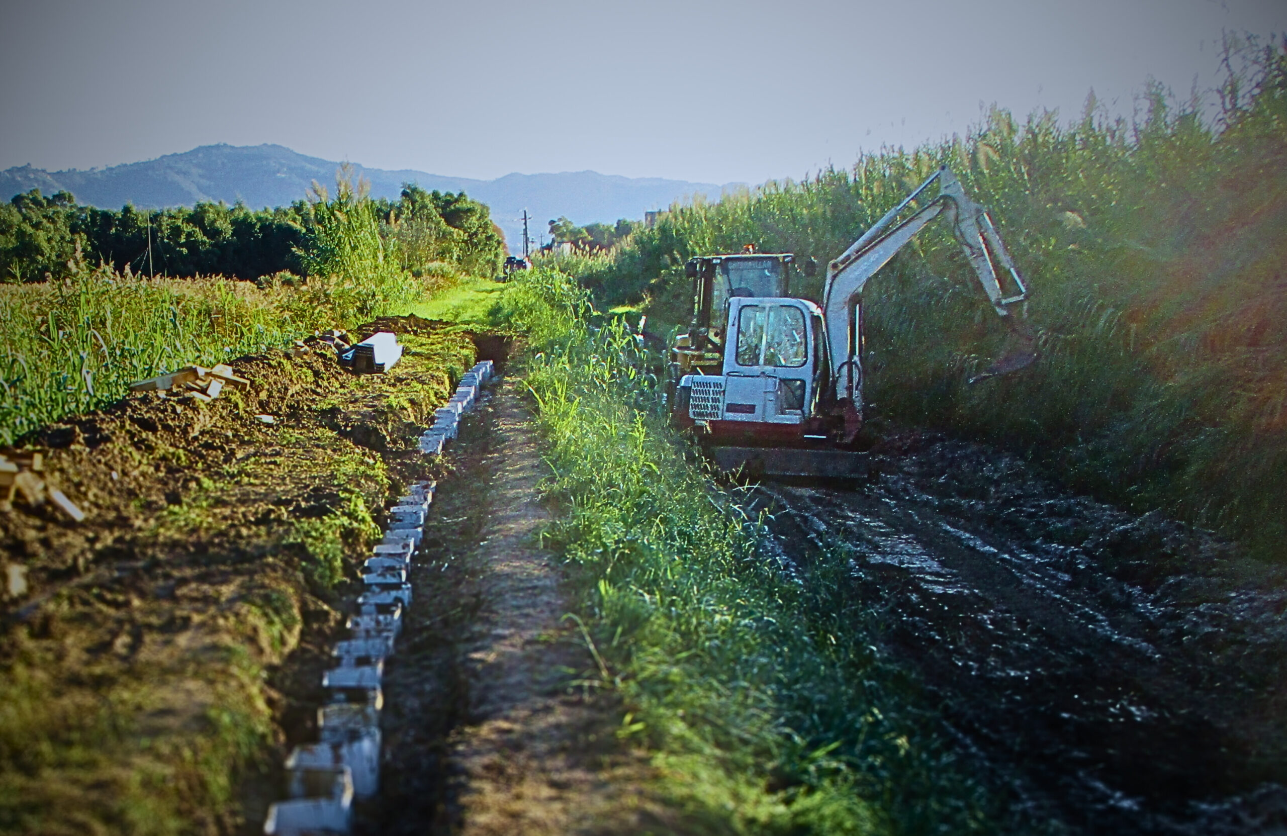 lavori_argini_massaciuccoli_2024|lavori_argini_massaciuccoli_2024 (2)