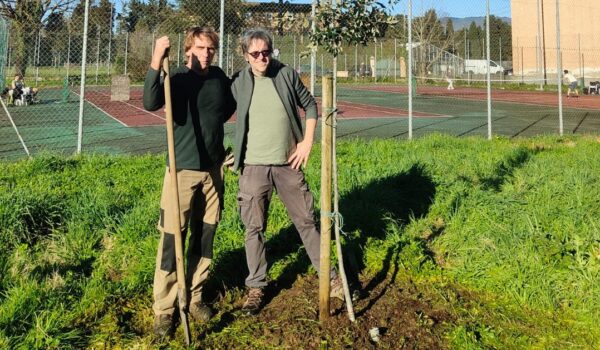 Piantumazione al liceo Vallisneri di Lucca con il vicepresidente Andrea Celli
